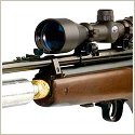 airguns for sale