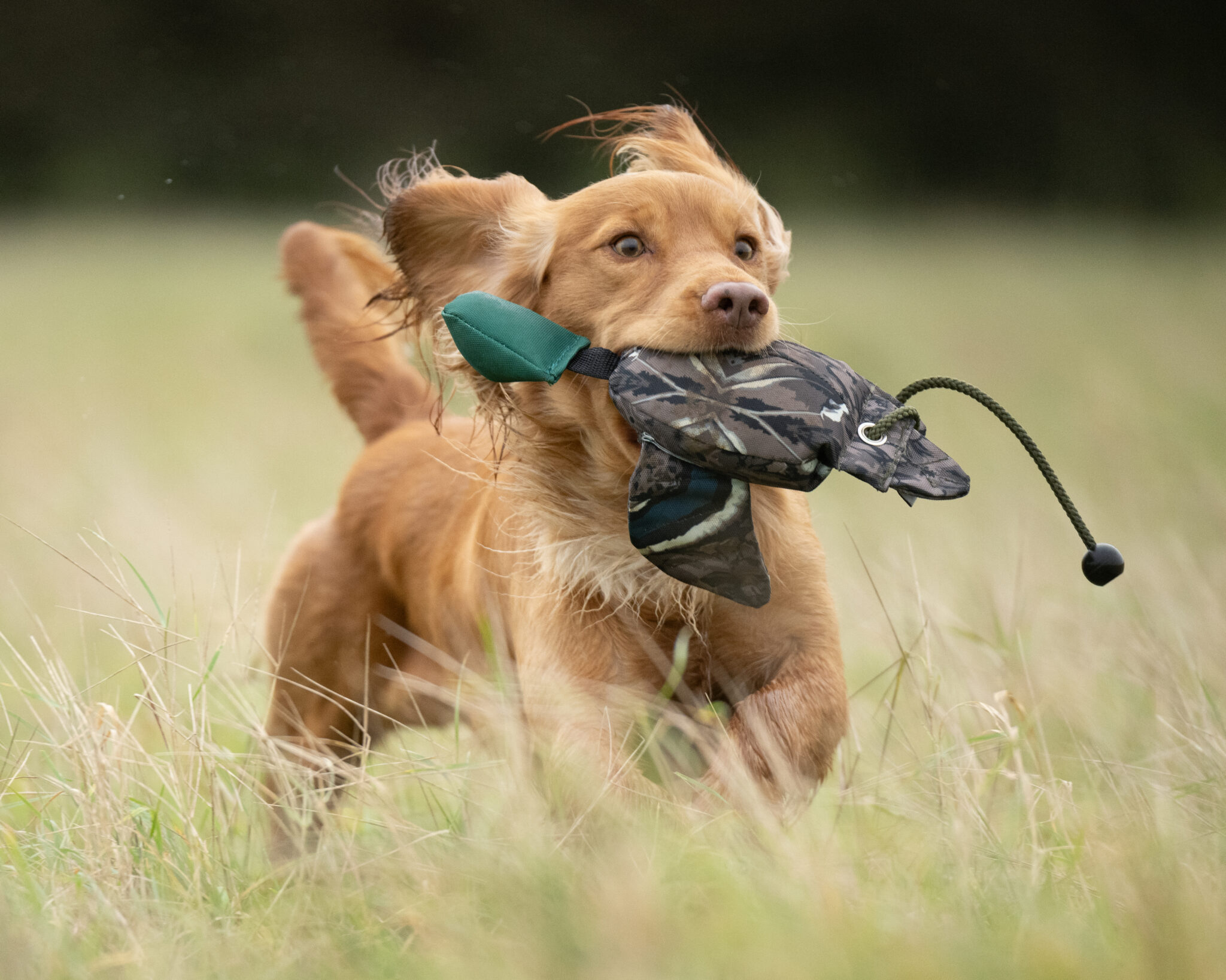Flight Mini Mallard Dummy - Image 2